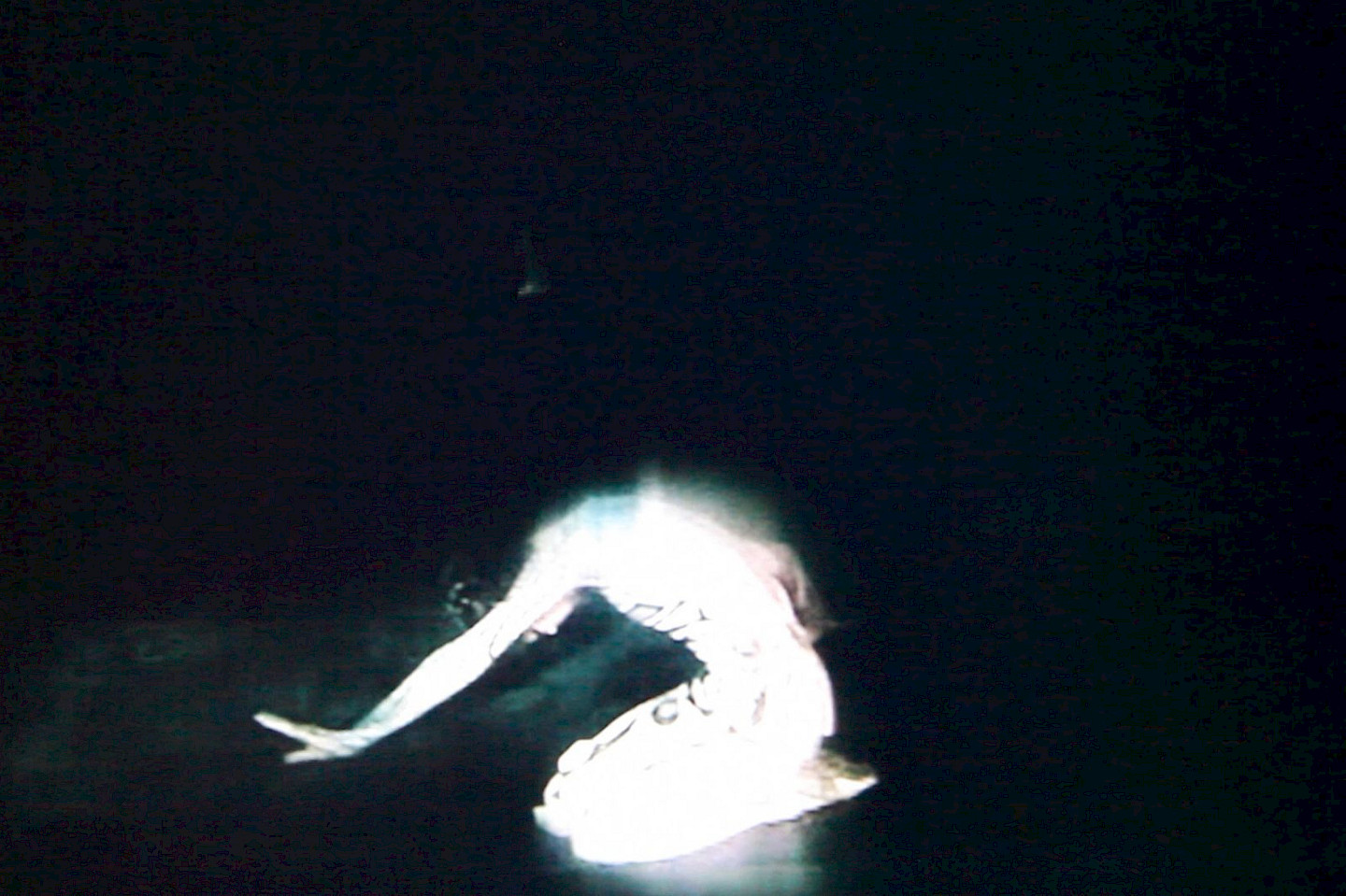 Film Screening: «Night for Day» by Emily Wardill