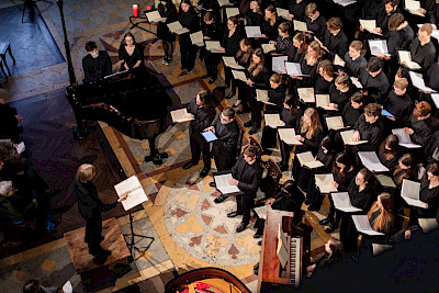 Psalms – In te domine speravi