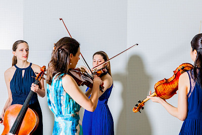Open Chamber Music (OCM)